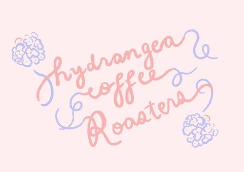 Hydrangea Coffee Roasters hand-lettered logo
